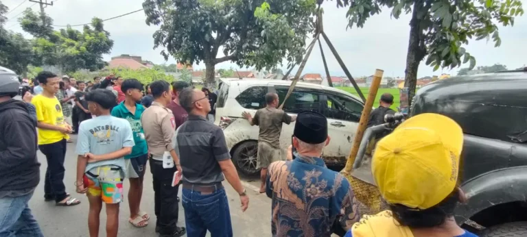 Diduga Sopir Mengantuk, Mobil Honda Freed Terperosok ke Area Persawahan di Kota Tasikmalaya WhatsApp-Image-2025-01-11-at-21.33.01-1200x541
